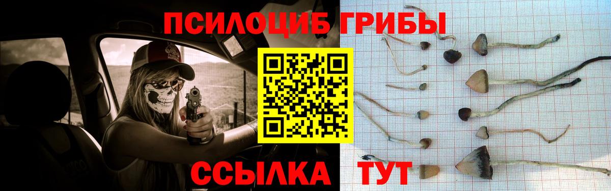 Псилоцибиновые грибы GOLDEN TEACHER Михайловск